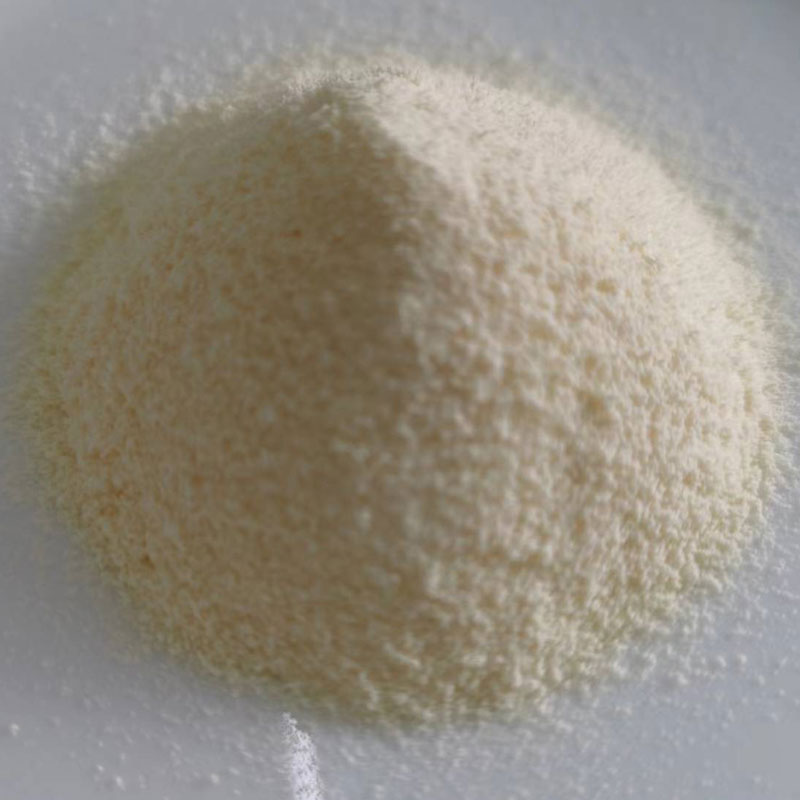 Hvernig bætir sýrubindandi rjómalyf sem ekki er mjólkurvörur meltingarheilsu þína?